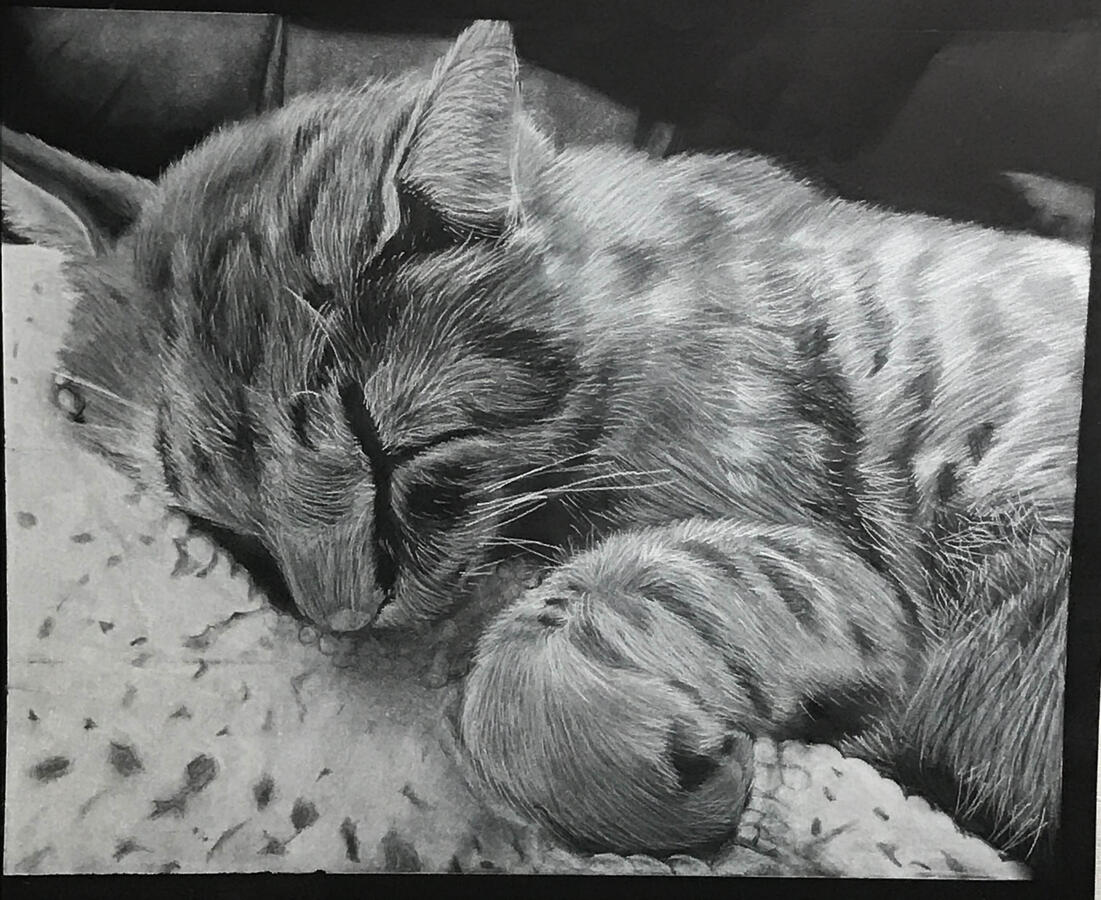 Red (2017) | Charcoal