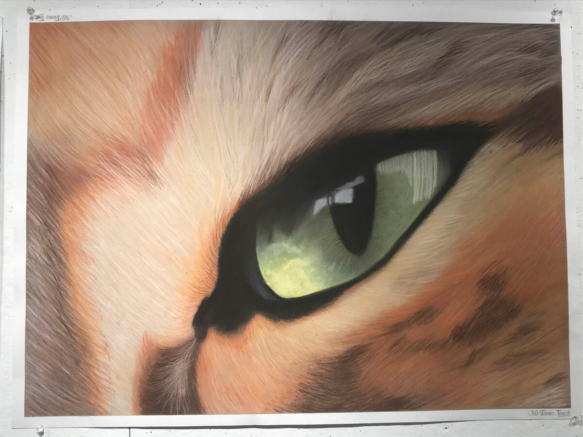 Cat (2017) | Chalk Pastels